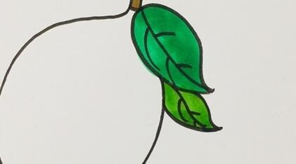 柠檬的简笔画