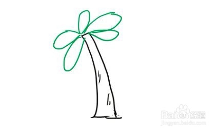 简笔画教学：如何画一棵椰子树