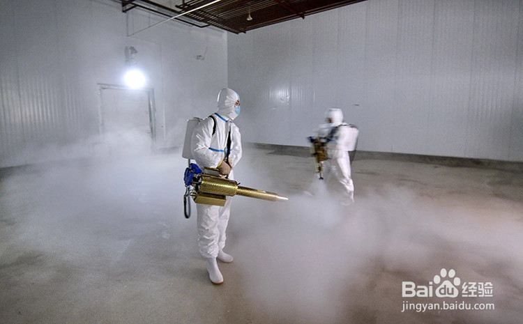 竹子发霉了怎么办,如何处理发霉的竹制品