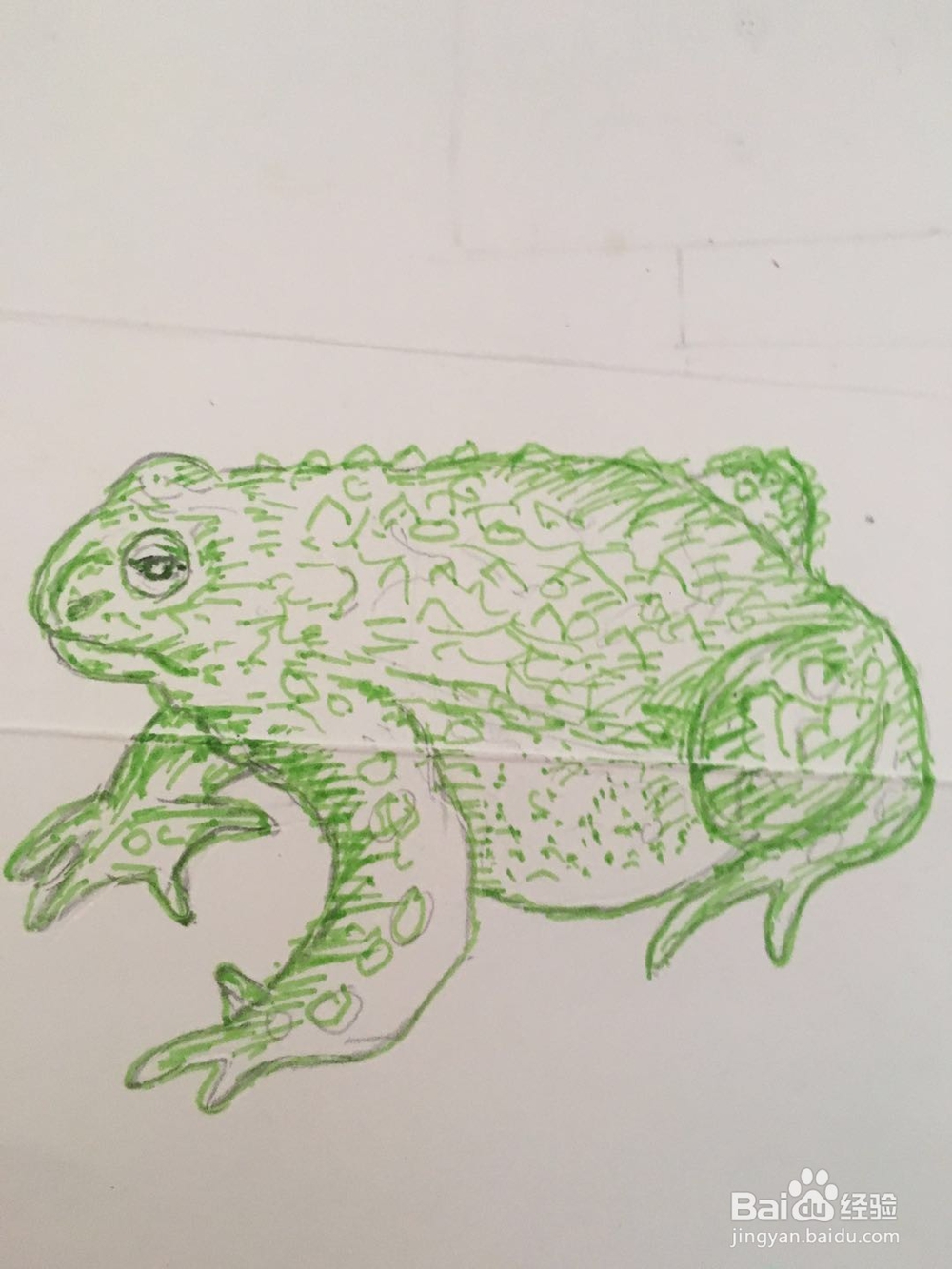 怎样画一个蟾蜍的简单彩笔画