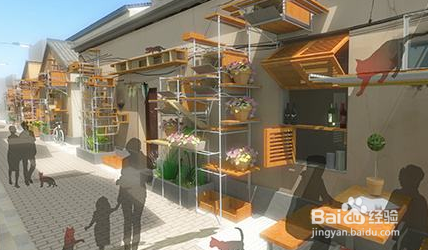 如何经营好一个猫舍