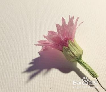 春天小雏菊的折法步骤