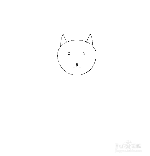 拿着果实的小松鼠