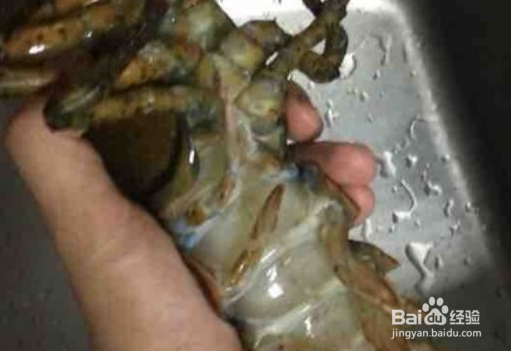 蒸龙虾怎么做