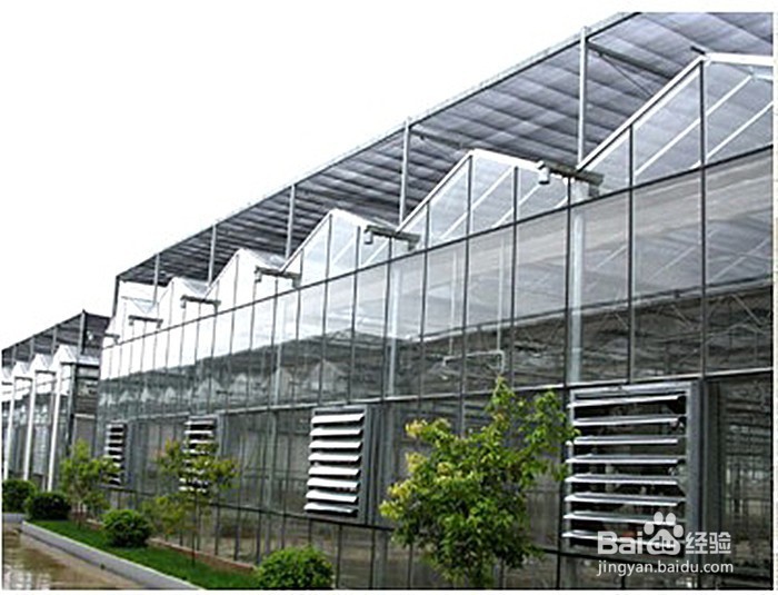 怎么给温室大棚通风？