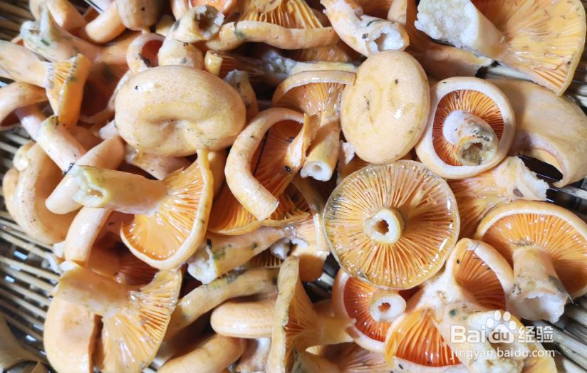 紫花菌怎么炒好吃