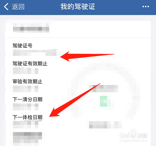 驾驶证信息在哪里查看