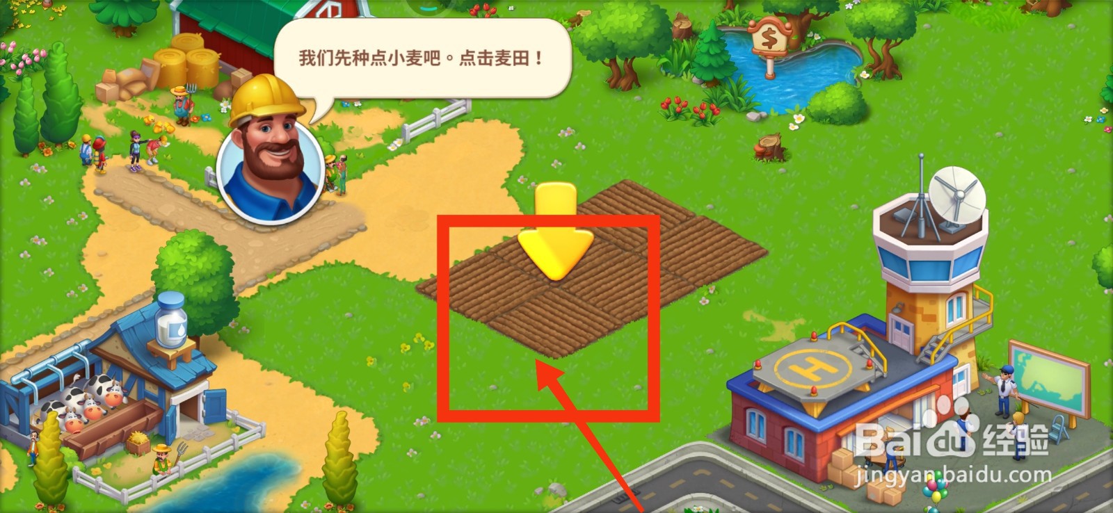 梦想城镇怎样种植小麦