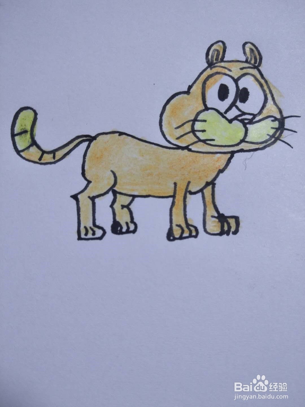 猫的简笔画法7