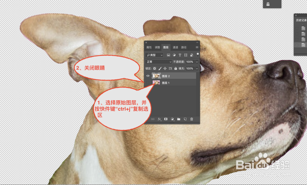 adobe Photoshop怎么利用套索工具抠图