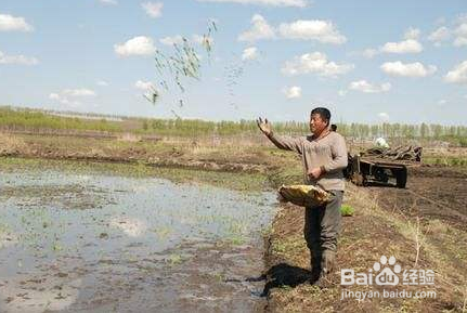 散文标题的作用