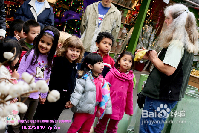 幼儿园亲子户外活动：学种花(组图)