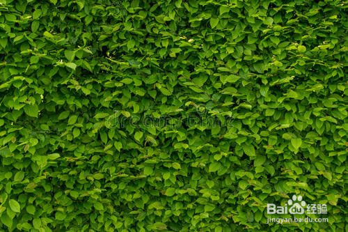 甲醛超标两倍会对人体造成什么伤害