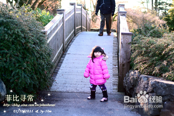 冬天的伊丽莎白女皇公园&发烧(组图)