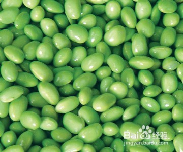 怎么样做现磨的新鲜豆浆？