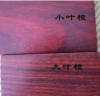 非洲小叶紫檀