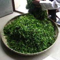 自家茶叶怎么销售
