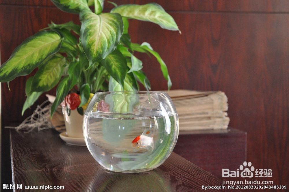 强雾霾天来袭!您为宝宝准备好防护措施了吗?