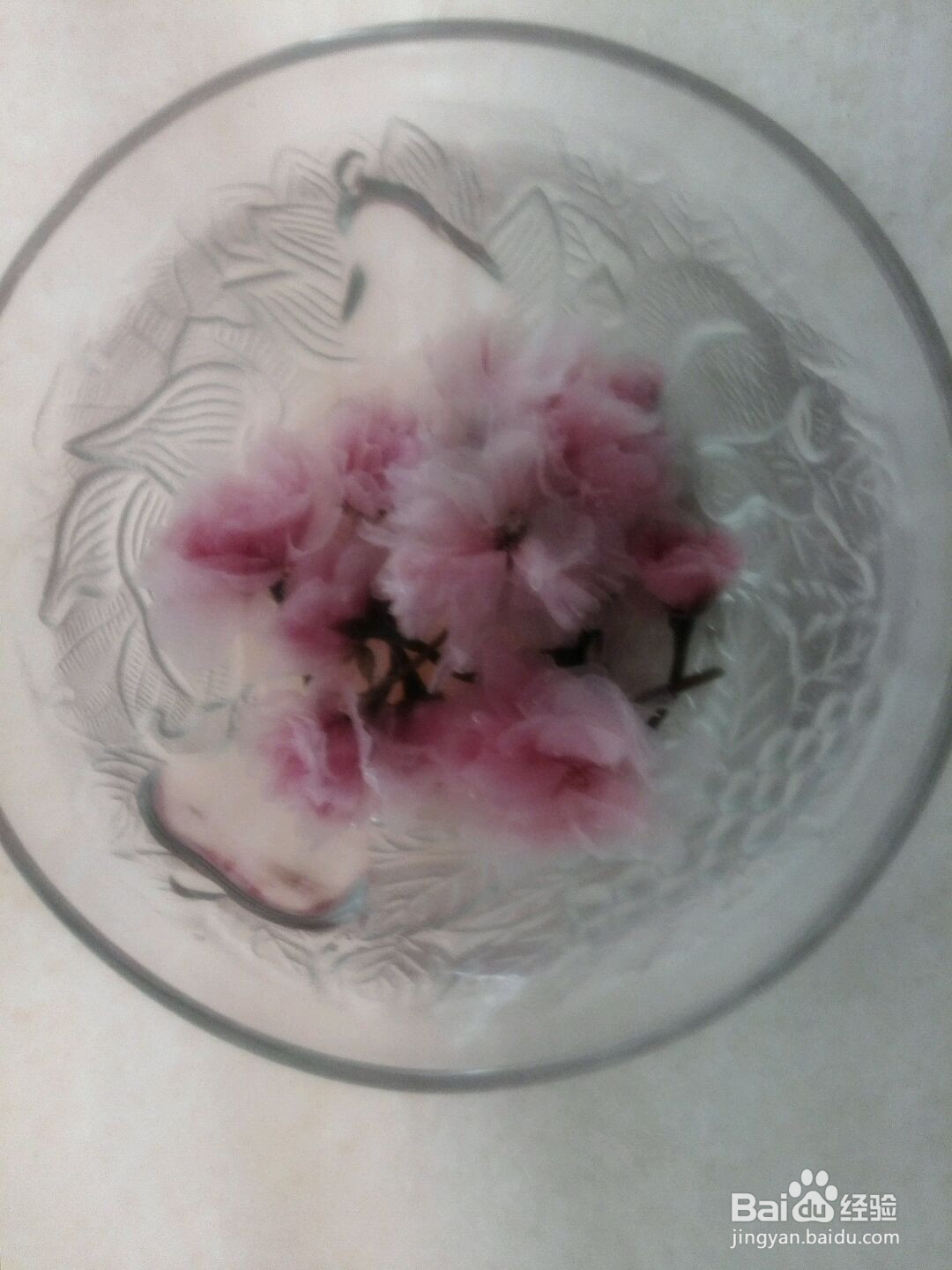 樱花冻芝士蛋糕的做法