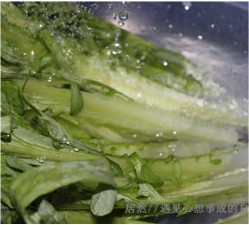 豆豉鲮鱼酱嫩麦
