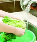 去除蔬菜中的残留农药的方法
