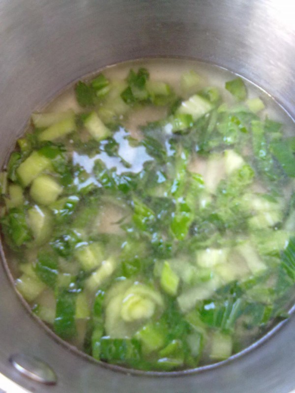 春绿湖畔闻松香