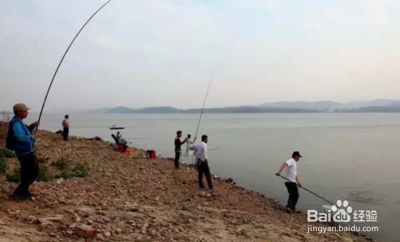 喜欢钓鱼的人可以培养出什么样的好性格?