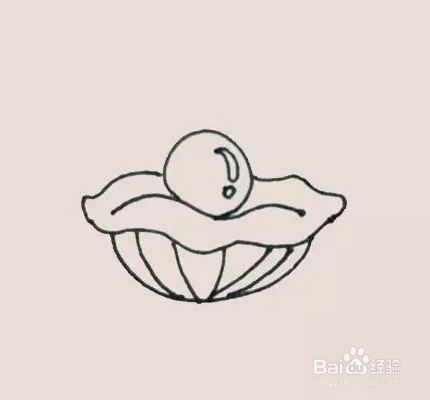 珍珠贝壳简笔画
