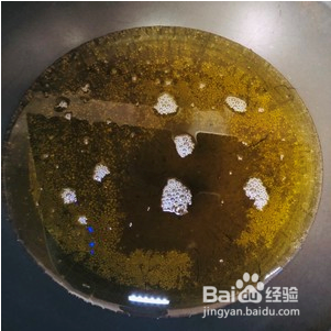 椒盐蘑菇-超好吃的下酒菜