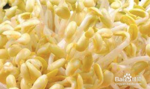 <b>黄豆芽和什么食材搭配好 营养食用相克宜吃人群</b>