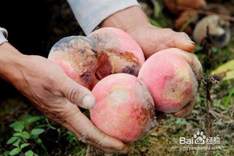 滞销商品的处理办法