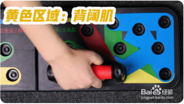 俯卧撑板使用方法图解