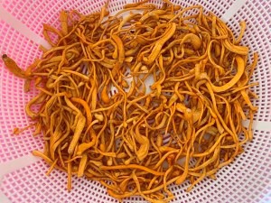 营养又大补的虫草蒸鸡胸肉饼