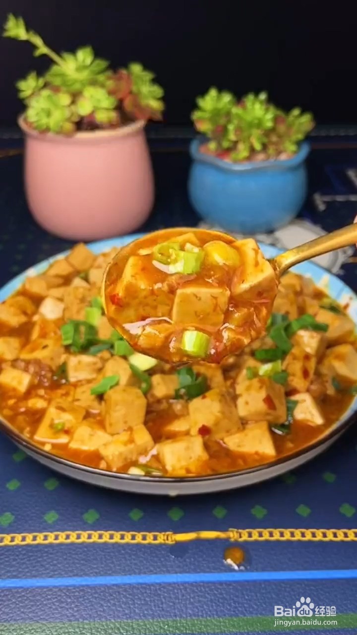教你自制下饭美食麻婆豆腐？