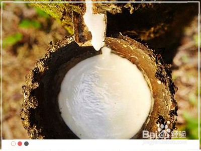 为什么天然乳胶枕头有味道呢？