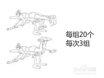 7天详细健身减肥计划