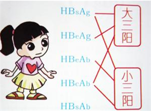 大三阳和小三阳区别