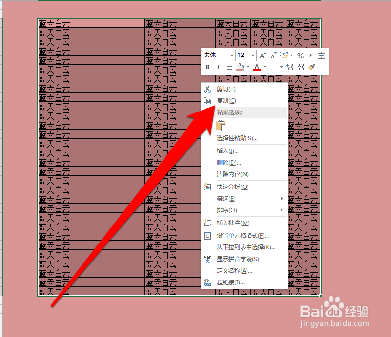 怎样复制excel表格保持原来的格式