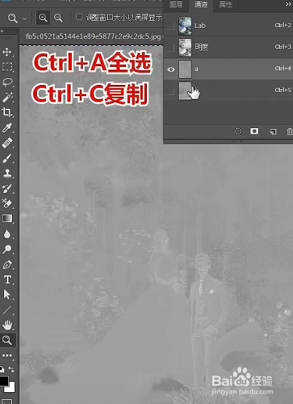 PS如何给婚纱照进行调色