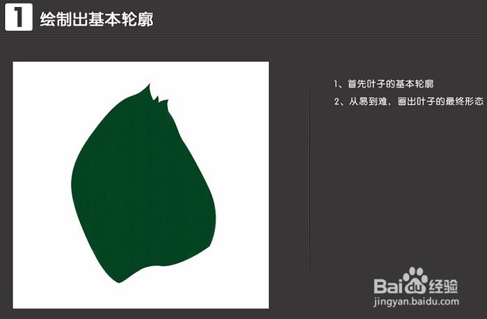 绿色植物肤品主题海报PS制作操作步骤