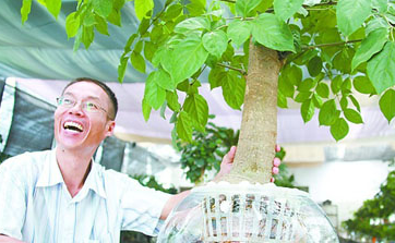 养花有什么的小技巧?