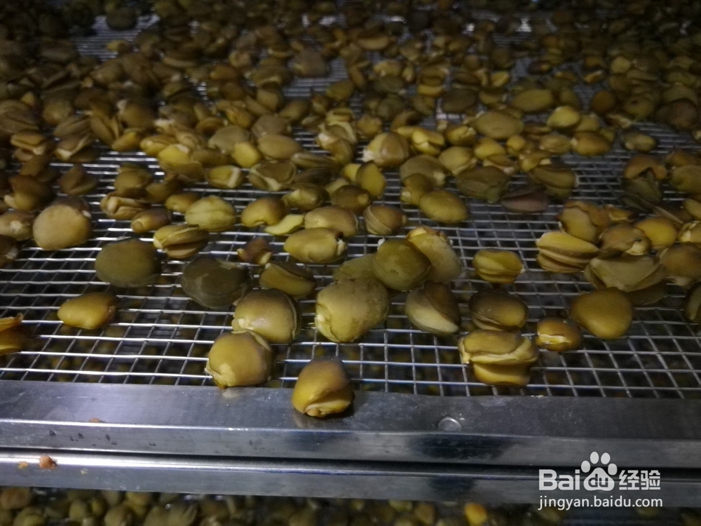 榄钱烘干机的烘干时间计算及烘干系统容量的配置