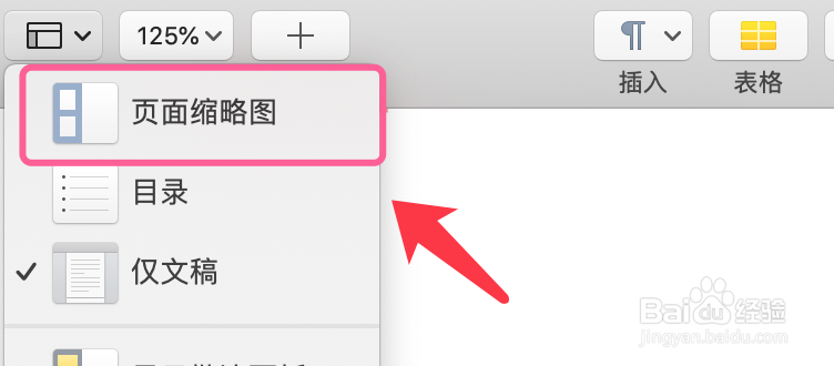 pages如何统计字数和文件页数