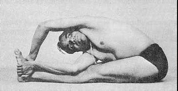 治疗不同疾病的瑜伽体式-背痛(上)