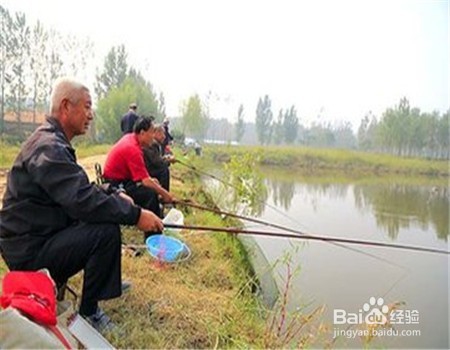 老年人如何老有所乐