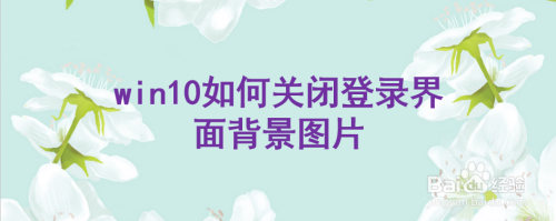 win10如何关闭登录界面背景图片