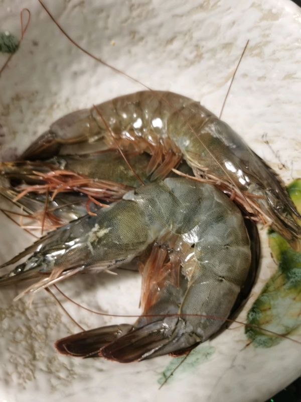 大虾墨鱼汁炒饭