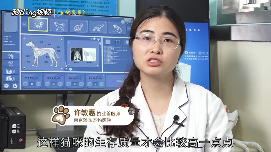 冬天养猫要注意什么问题