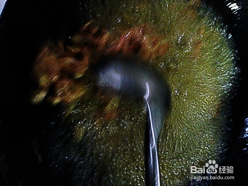 家庭版快手菜•香辣虾的做法