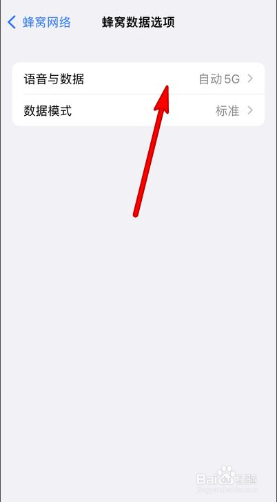 iphone13怎么关闭5G